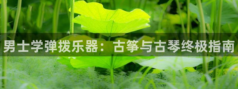 凯发手机app官网