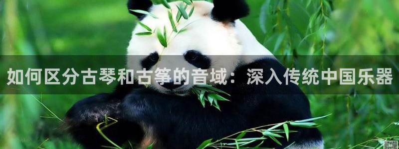凯发娱网址是什么