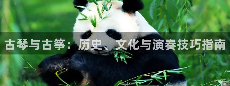 凯发国际平台官网