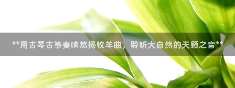 ks8凯发官方网站