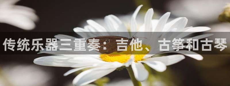 凯发娱乐k8国际