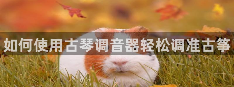 凯发k8娱乐欢迎您