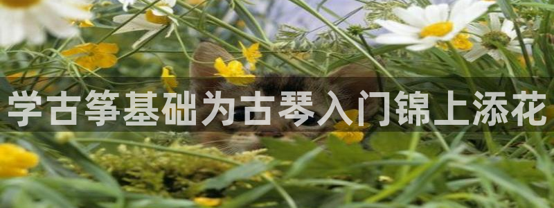 凯发k8官方旗舰店app