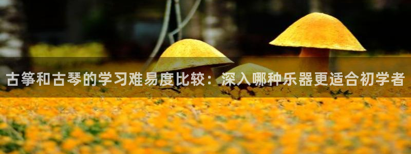 凯发k8娱乐是哪个国家的
