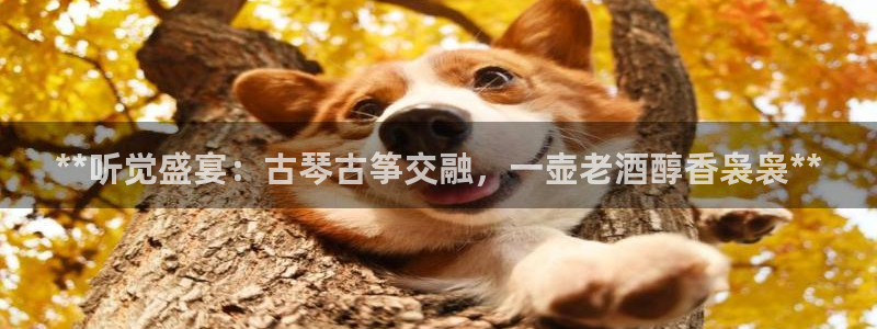凯发k8是不是真的可靠