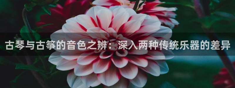 凯发网娱乐官网国际