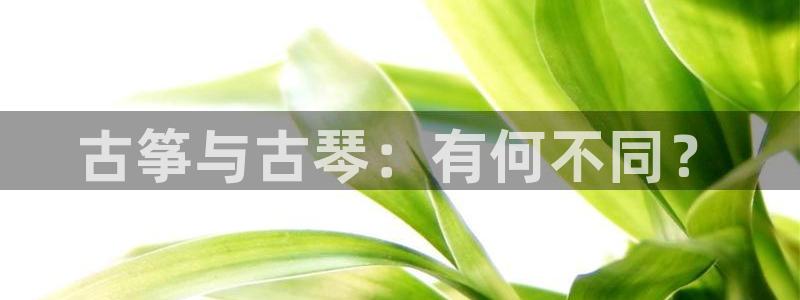 k8凯发国际首页