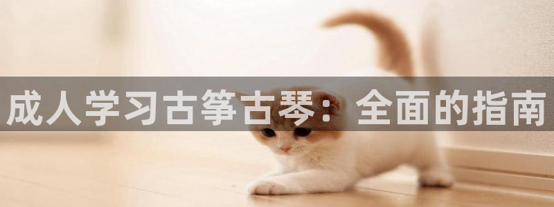 凯发国际平台