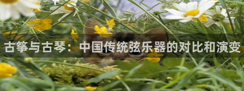 凯发k8手机是正品吗多少钱