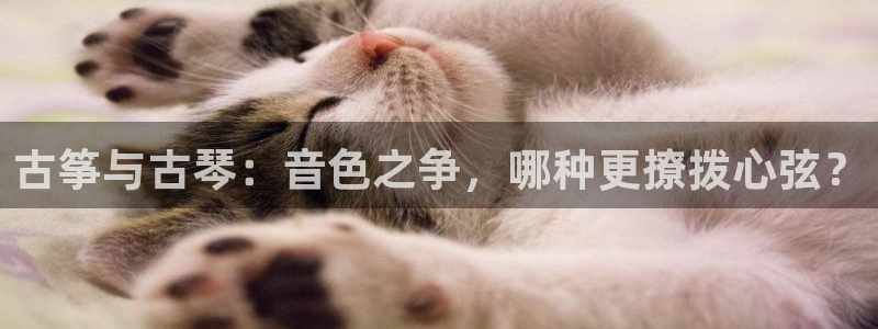 凯发k8全球公开