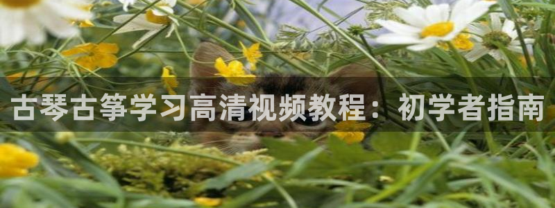 凯发国际平台官网