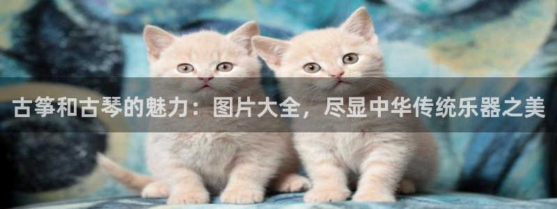 k8凯发国际首页