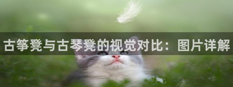 凯发娱乐国际厅