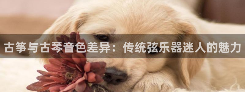 凯发官方网站是多少