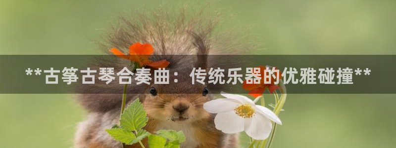 凯发k8娱乐是什么平台