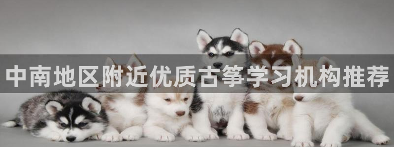 凯发k8娱乐是什么平台