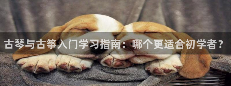 凯发app官网