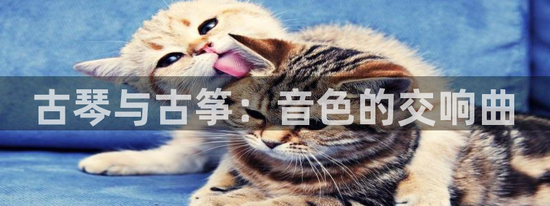 凯发国际网站