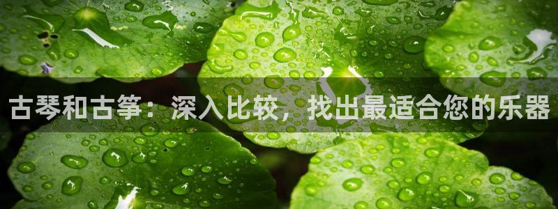 凯发平台医7O777
