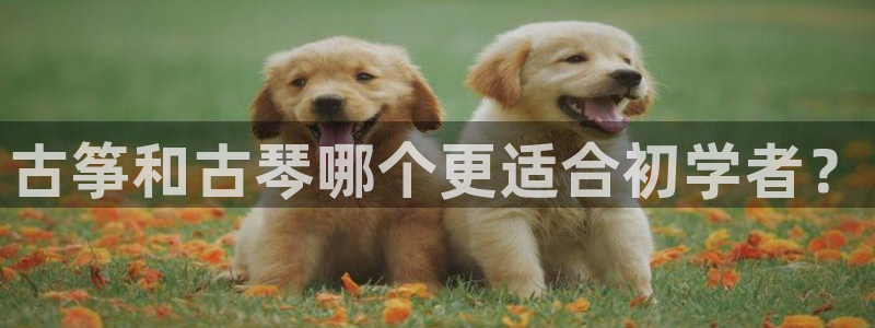 凯发国际是什么投资平台