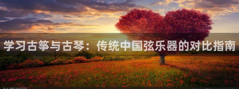 凯发网网站