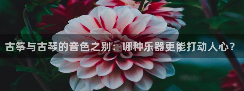 国际凯发k8真人版旗舰厅