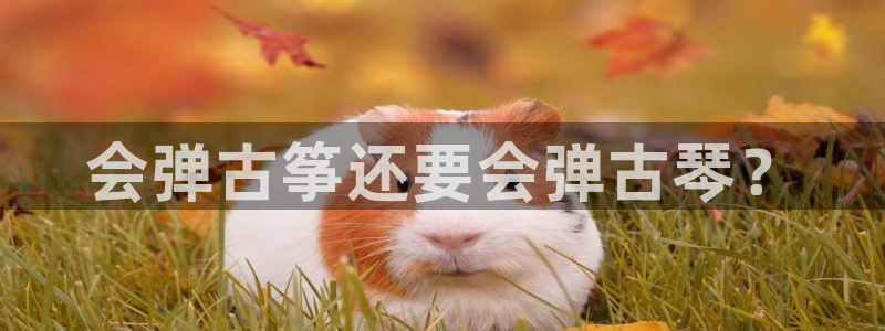 凯发线上客户端免费下载