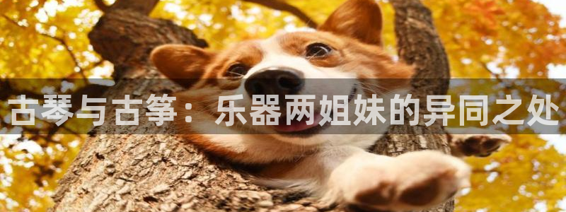 凯发k8娱乐品牌导航