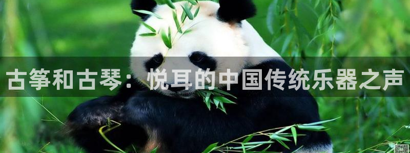 l凯发国际官网