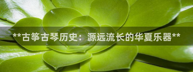 凯发娱乐国际厅