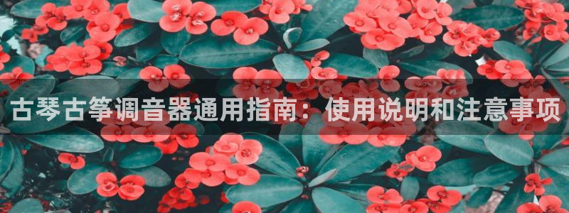 凯发官网网址多少
