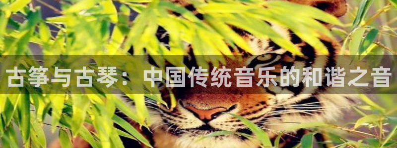 凯发k8娱乐欢迎您