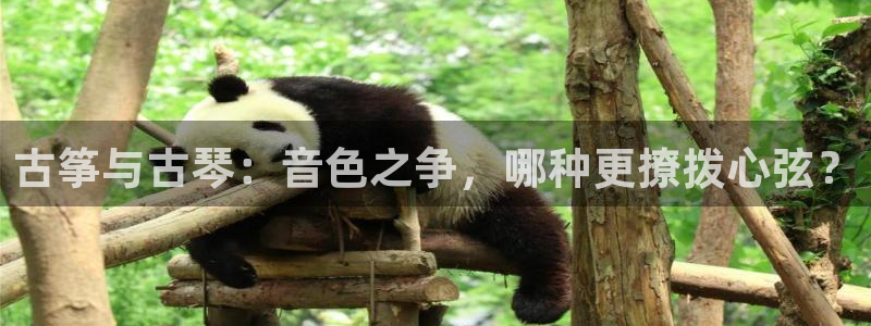 凯发app是干嘛的