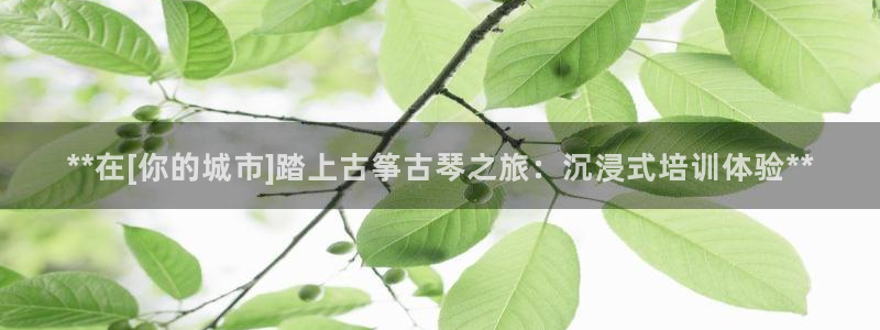 凯发k8手机是正品吗知乎