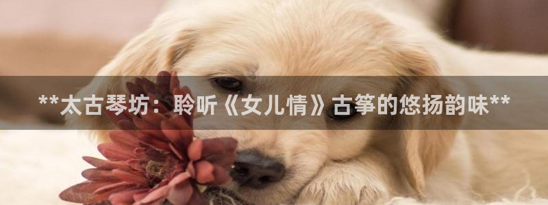凯发是什么意思