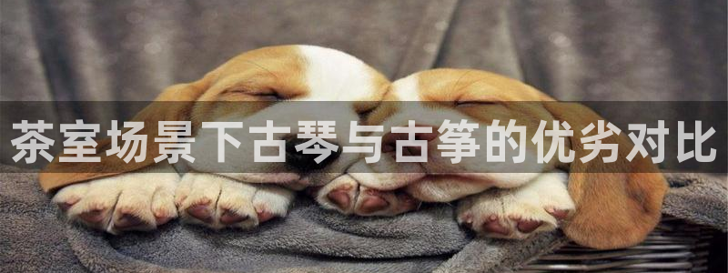 凯发k8手机是正品吗多少钱