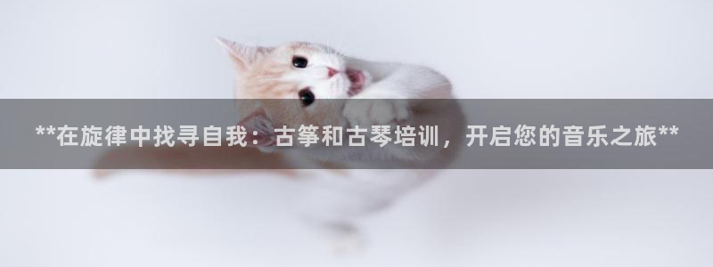 凯发k8官网下载客户端中心