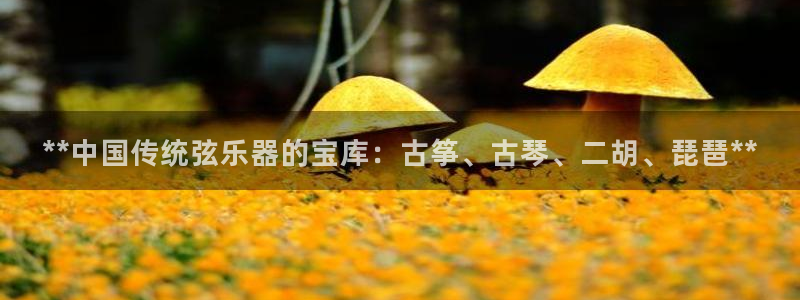 ks8凯发官方网站