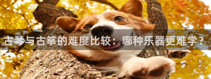 凯发k8官网do选来就送38