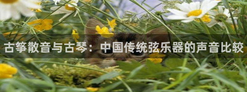 凯发k8娱乐官网入