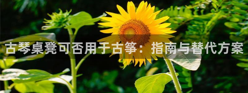 凯发k8娱乐平台下载