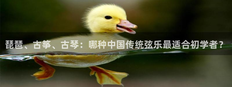 ks8凯发官方网站