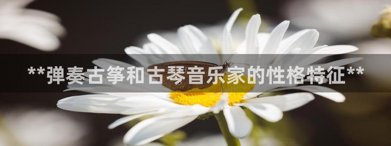 凯发娱网址是什么