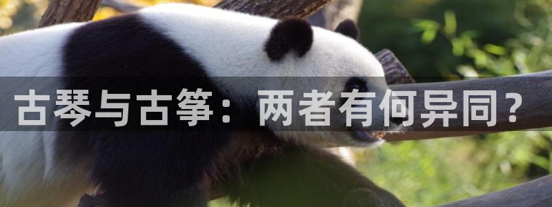 凯发k8旗舰厅手机app下载