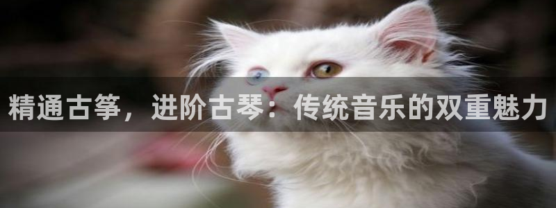 凯发就来凯发天生赢家一触即发