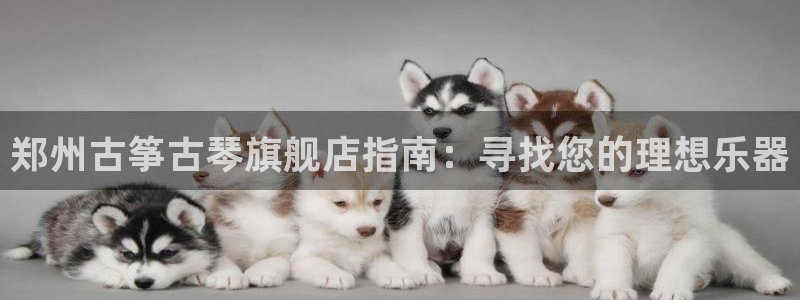 凯发k8娱乐网址多少
