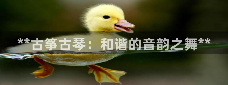 凯发k8娱乐要访问kf6819
