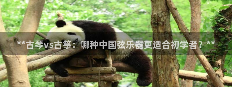 凯发平台8