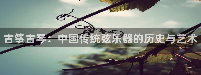 凯发国际网络平台网址