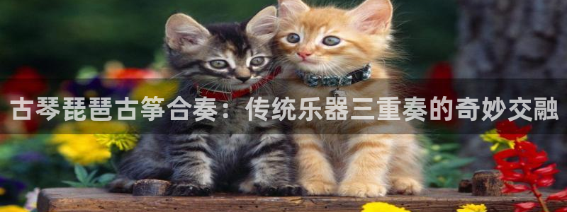 凯发k8网站是多少：古琴琵琶古筝合奏：传统乐器三重奏的奇妙交